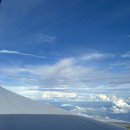 제주 터닝포인트 | [6th 여행] #0. 2025년 제주 워홀로 즐기는 로컬생활 1기: 지원부터 선발, 입도까지｜25.08.31...