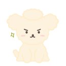 스텔라바디핏