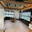 러브 애견 이미지