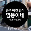 염똥이네 수제간식 | 충주 애견 수제간식 전문점 염똥이네 방문후기 ♡