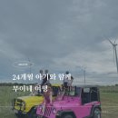 비고리조트 13 | 공항에서 무이네 이동, 무이네 판다누스 리조트 방갈로 후기, 호치민 도깨비 픽업 서비스, 아기 해외...