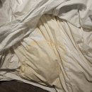 [내돈내산] 굉장히 불쾌했던 켄싱턴 평창 휴가 후기