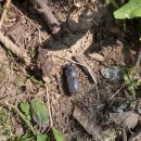 일락농원 이미지