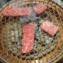 고기제 이미지