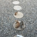 남해-120 이미지