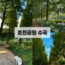 진주 초전공원 수국 산책 후기｜메타세콰이어길 따라 강아지와 걷기 좋은 진주 수국 명소