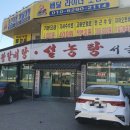 서울집설농탕