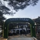 트리팜(TreeFarm) | (대구)팔공산 카페 트리팝(Treefarm)후기