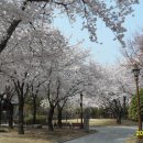 경상감영공원 이미지