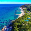 지에스25 울진근남점 | [울진 죽변항수산물축제] 죽변항이 보내는 초대장 “보고, 걷고, 맛보세요”