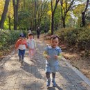 가을 산책~🍂🍃🍁 이미지