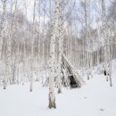 초이개발