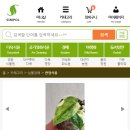 묘한정원 이미지