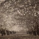 낙원중학교 이미지