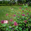 힐링팬션 이미지