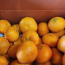 거운농장 이미지