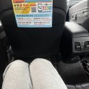 팰리스비즈니스클럽 | KE931 대한항공 비즈니스, 마일러 클럽 퍼스트 클래스 라운지 후기, 로마 판테온 주변 콜론나 팰리스 호텔