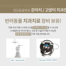 크라운 동물병원 이미지