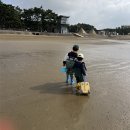 몽산포자동차야영장 | 몽산포 국립 자동차 야영장