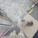 냥카페,루브 네이버블로그