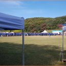 통돼지한마리 이미지