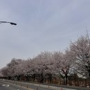 탈춤공연장 옆 이미지