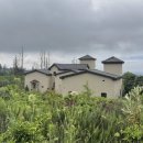 앤디앤라라홈 이미지