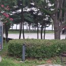 영종진공원 Daum카페