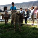 신토불이농장 이미지