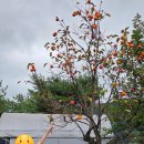 청도 지오 오토캠핑장 이미지