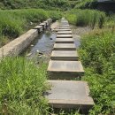 선기로-5 Daum카페