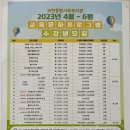 한쌤 라인댄스 이미지