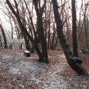 원창고개길 이미지