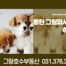 그랑호수공인중개사사무소 이미지