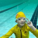 키즈웨일즈 이미지