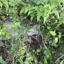 종합운동장길 이미지