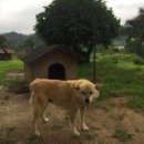 우목농원 이미지