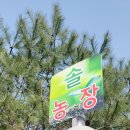 다산솔농장 이미지