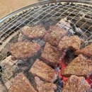 근본화로 이미지