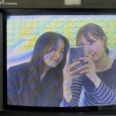하대막썰어횟집