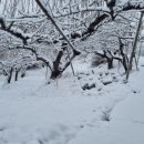 천만농장2 이미지