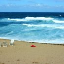 바다정원 이미지