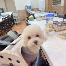 폴리파크태안점 이미지