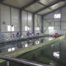 상무낚시터 이미지