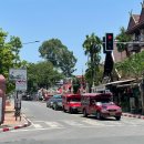 투유커머스 | 치앙마이 | 퇴사 안한 사람의 퇴사 여행 🌴 (말이 개많음)