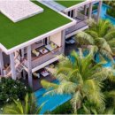 킹라온스파 이미지