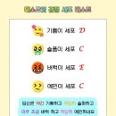 디어샐러드 네이버블로그