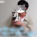 도움목장 이미지