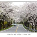 선우철 카카오 검색결과