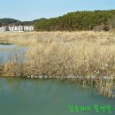 둔전15리 이미지